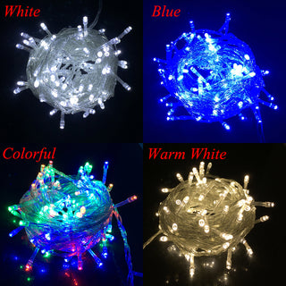 Holiday LED String Lights