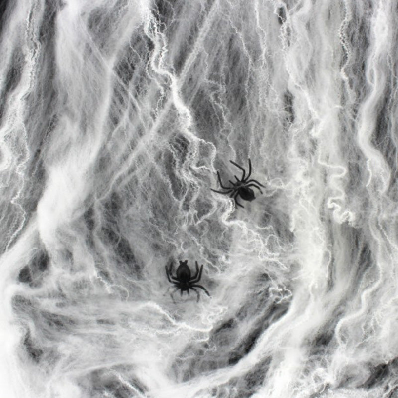 Funny Stretchable Plastic Spider Web